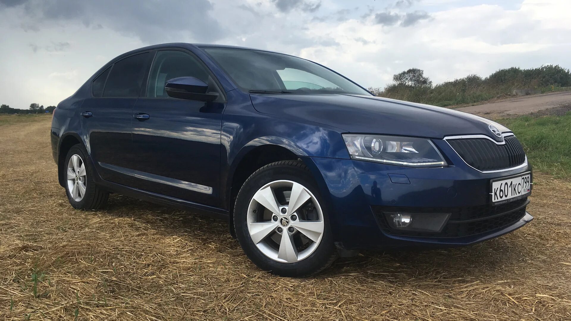 Skoda Octavia a7 Blue. Skoda a7 Blue Storm. Skoda Octavia a7 синяя.