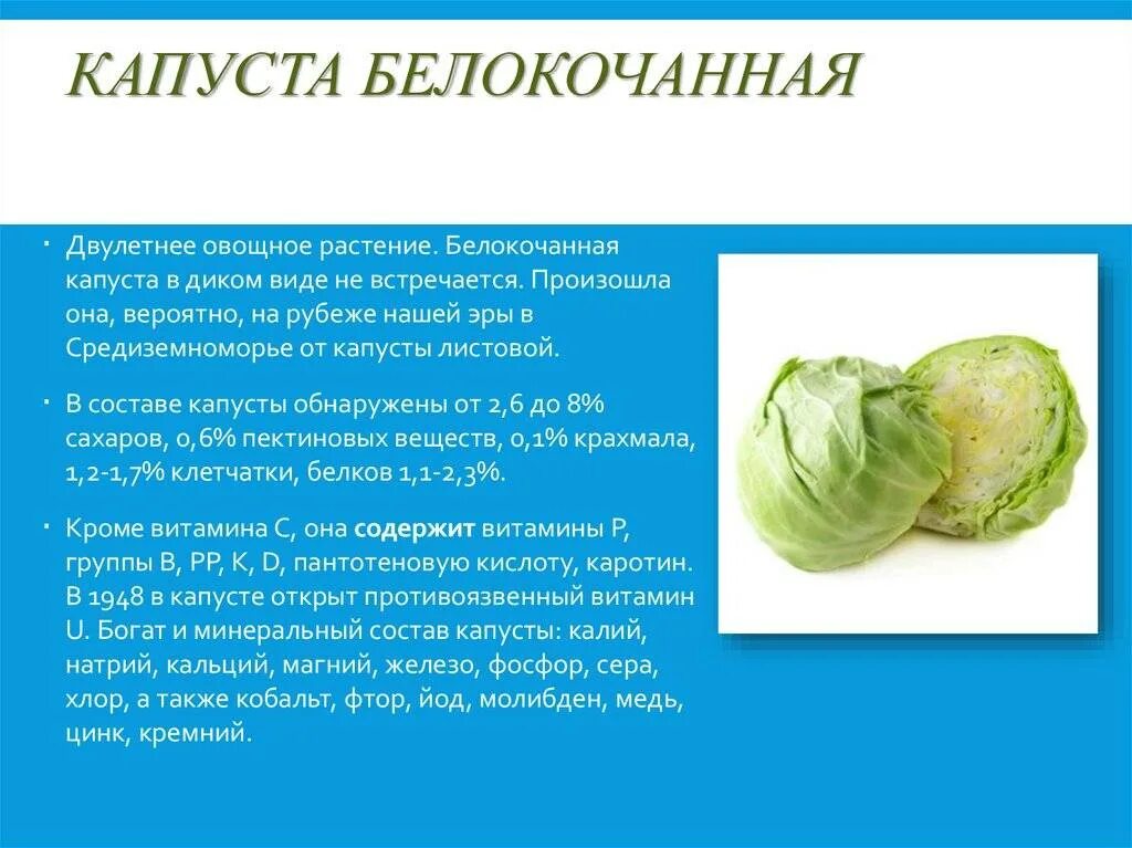 Витамин с содержится в капуста белокочанная,. Польза капусты. Витамины в капусте белокочанной. Полезные витамины в капусте. Цветная капуста полезные свойства.