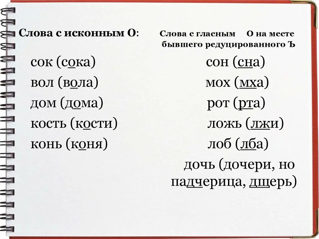 Слова начинающиеся на нова. Слова с корнем рот. Слова начинающиеся на сне. Слово. Слово вол.