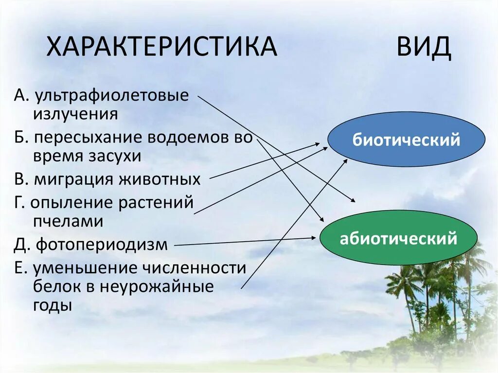 Вид характеризуется