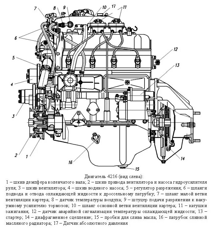 Двигатель УМЗ 4216 схема. Схема ДВС УМЗ 4216. ДВС УМЗ 4216 технические характеристики двигателя. Конструкция системы охлаждения двигателя УМЗ 4216. Датчики умз 4213