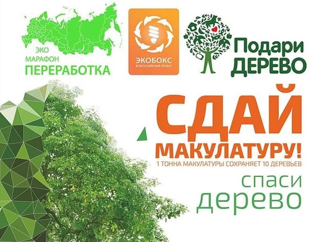 Сдай макулатуру Спаси дерево. Эко-марафон переработка Сдай макулатуру Спаси дерево. Акция Сдай макулатуру-спаст де. Спас дерево сдал мукулатура. Сдавай бумагу рф