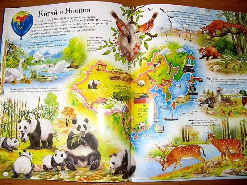 Животные по континентам для детей. Животные по континентам для детей. Много животных. Растительный и животный мир земли. Животные земли.