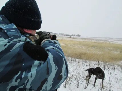Охотка