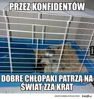 Крат работа