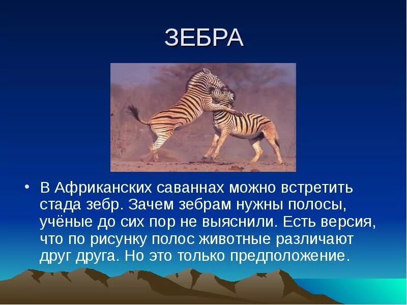 Реферат на тему животные африки. Доклад про животных. Реферат на тему животные африки. Африканские животные презентация. Реферат на тему животные африки.