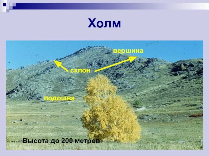 Высота 200 метров. Высота холма. Максимальная высота холма. Формы земной поверхности 2 класс. Высота холмов