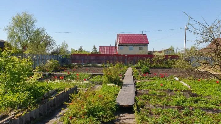 Дача никольское тосненский. СНТ Никольское 8 участки. ГАЗ В Никольское Садоводство белая дача. Купить СНТ лето.