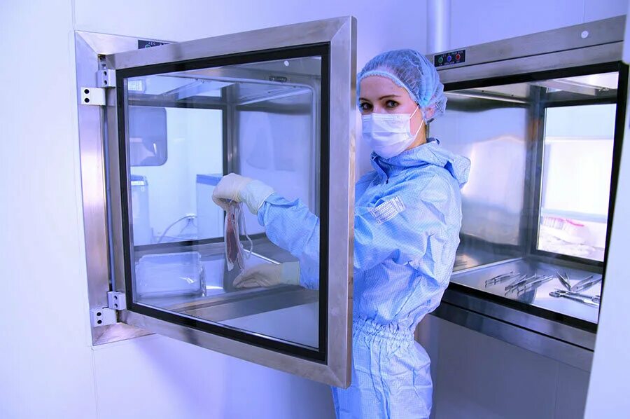 Кустодиол в банках создать давление. Банки клеточных линий. Создание банка клеток. Стволовые клетки, хранящиеся в банках пуповинной крови. Создание банка клеток.