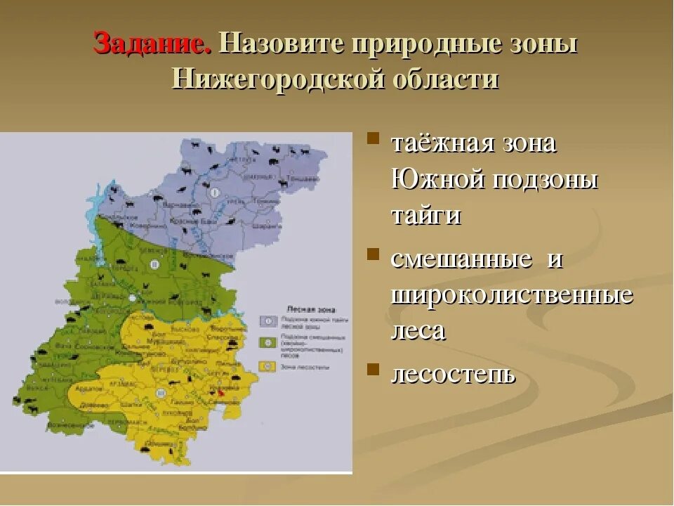 В какой природной зоне располагается краснодарский край. Природные зоны Нижегородской области карта. В какой природной зоне находится Нижегородская область. Природные зоны Нижнего Новгорода. Карта Нижегородского края.