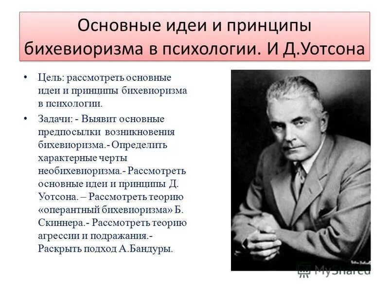 Общая теория поведения. Теория Уотсона бихевиоризм. Д Уотсон бихевиоризм психология. Теория поведения (д. Уотсон).. Дж Уотсон основные идеи.