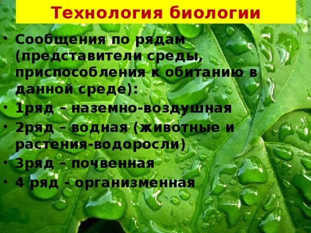 Фукус водная или наземно воздушная. Сообщение по биологии. Технологии биологии приспособления. Информация в биологии. Хлорелла среда обитания наземно воздушная или водная.