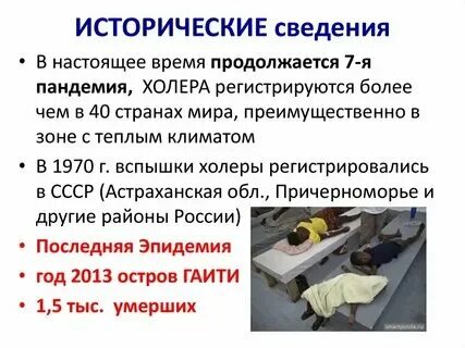 Холера песня