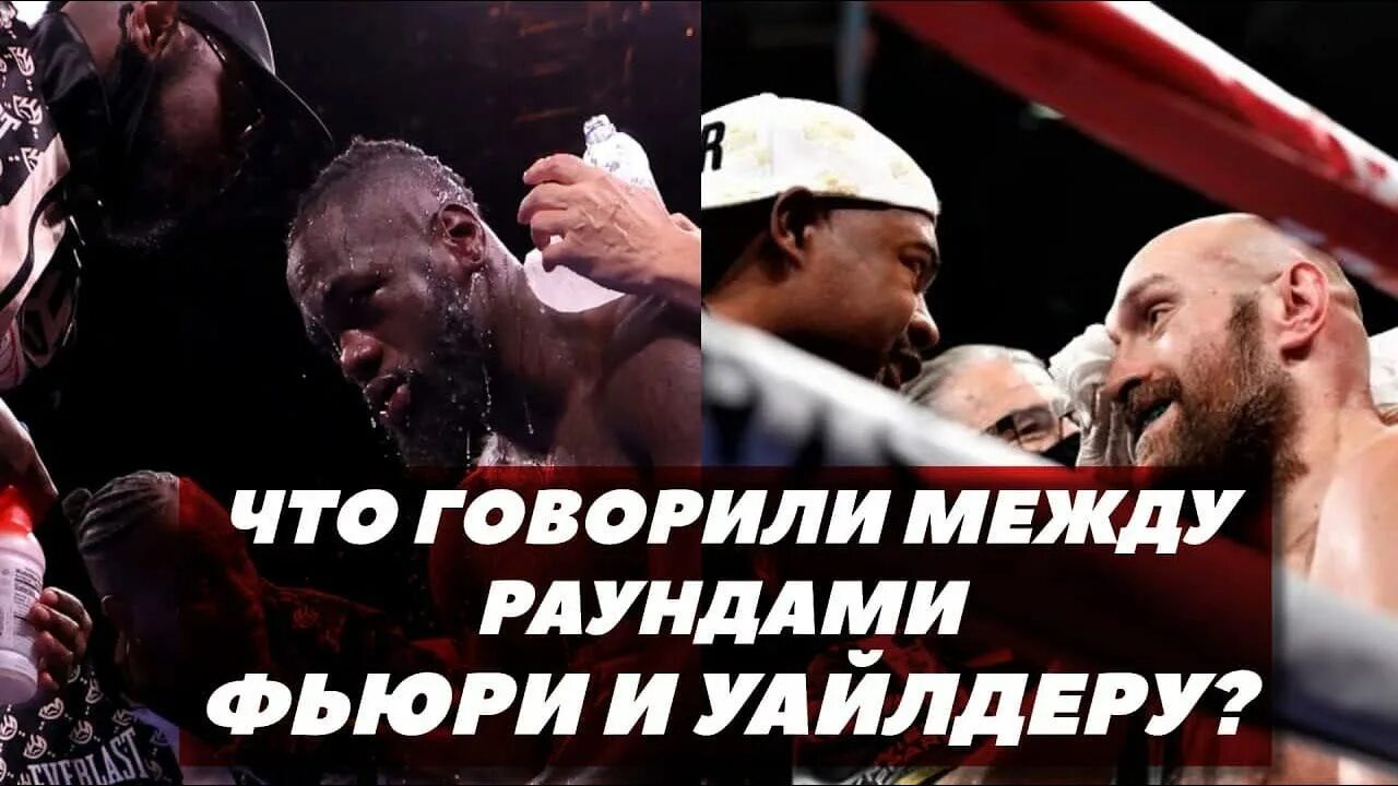 Фьюри слизывает кровь Уайлдера. Between rounds