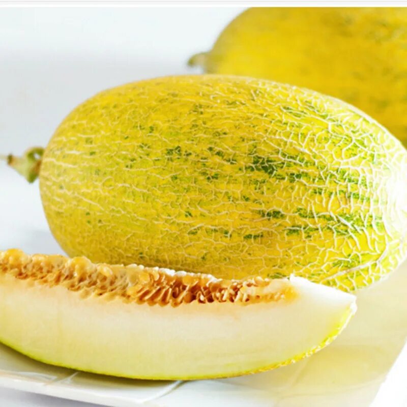 дыня эфиопка зеленая. дыня бест джумбо. сорта дыни картинки. семена дыня эфиопка. сорт дыни эфиопка.