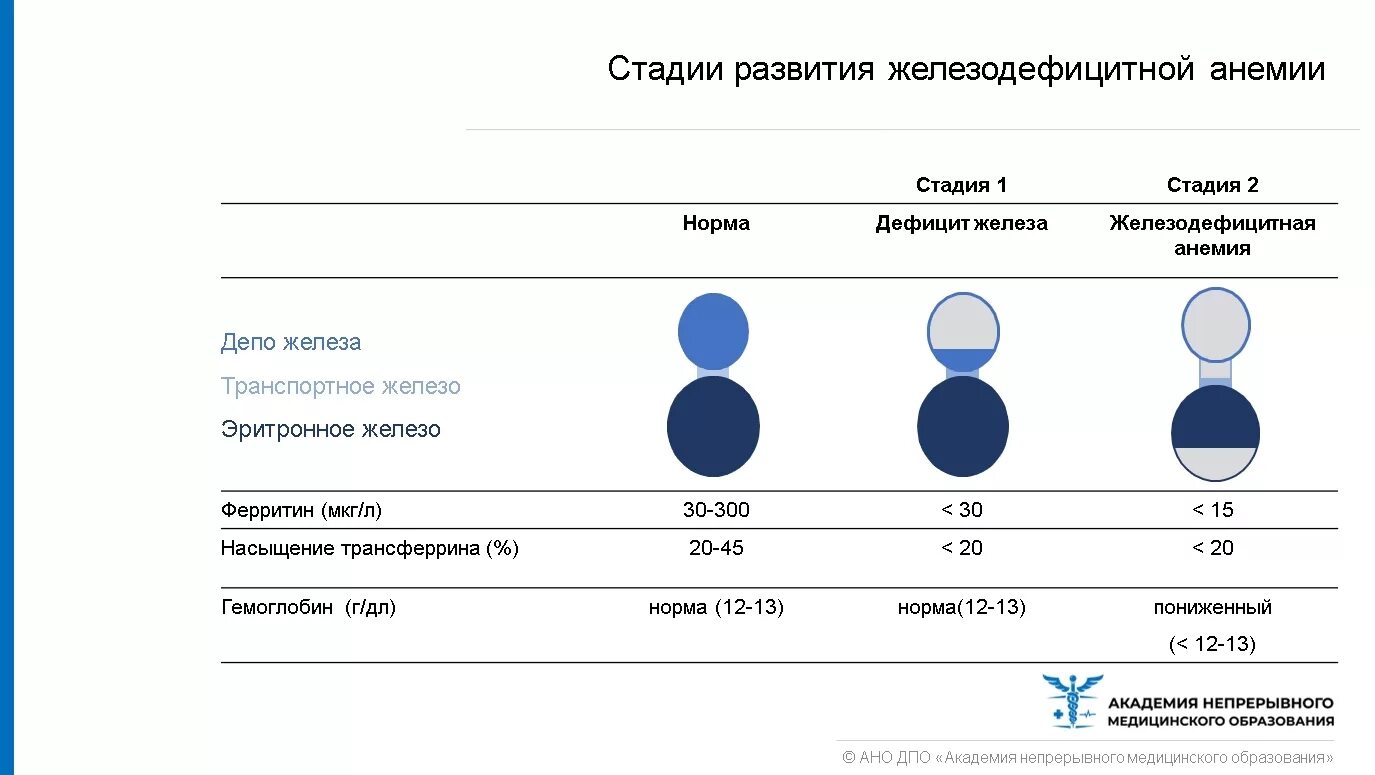 Нехватка ферритина симптомы у женщин. Этапы развития железодефицитной анемии. Стадии железодефицитной анемии по ферритину. Железодефицитная анемия показатели ферритина. Стадии развития жда.