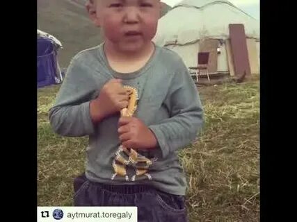 Бугин бугин сенин туган