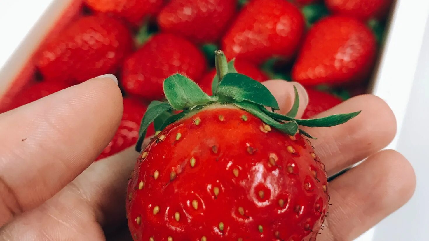 Красная клубника. Клубника во сне. Сон клубника красная. Снится клубника. Снится клубника.