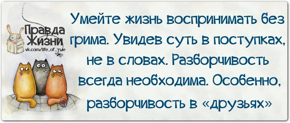 Правда жизни цитаты. Правда жизни картинки. Смешные цитаты с картинками правда жизни. Статус правда жизни. Ничего не умею в жизни