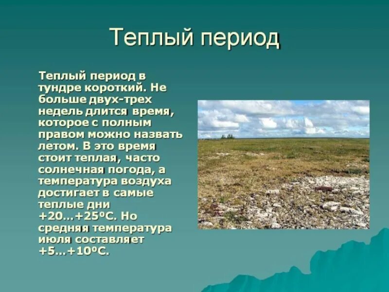 Поверхность природной зоны. Тундра презентация. Зона тундры презентация. Описание тундры. Проект зоны тундры.