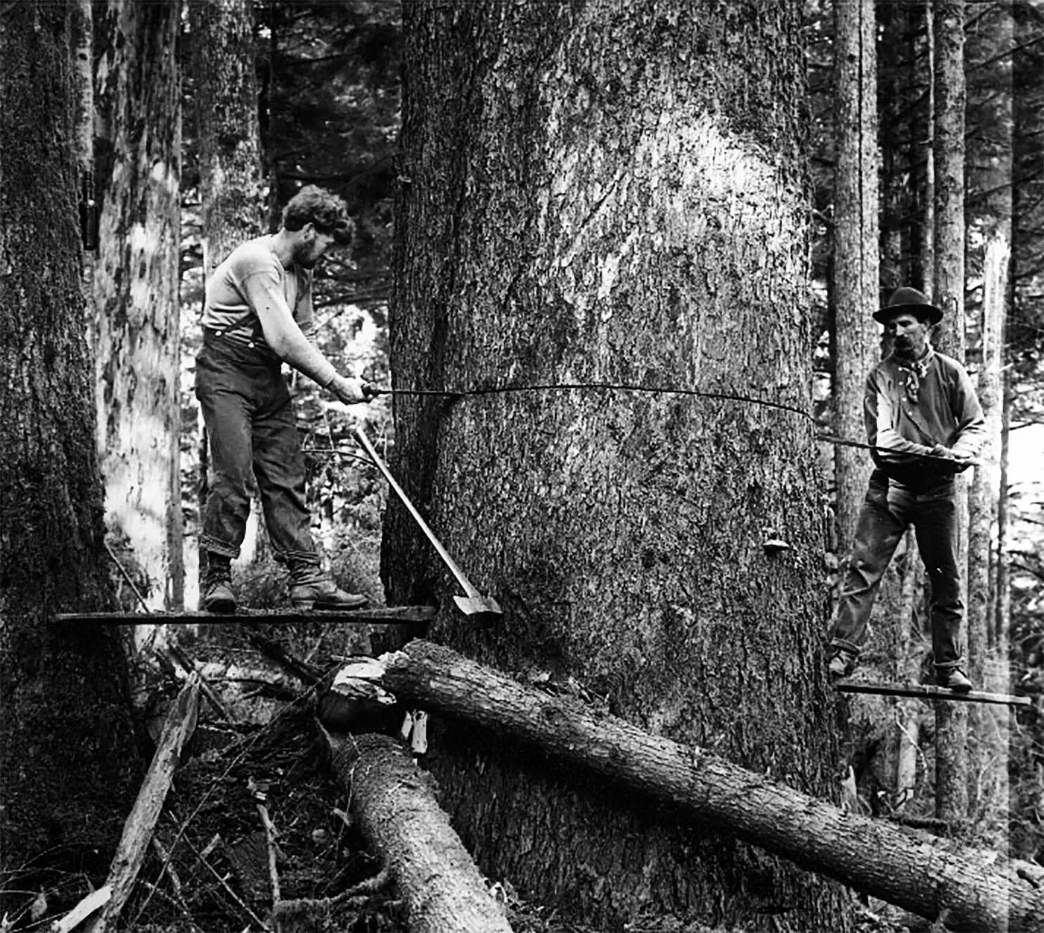 Logging persistent