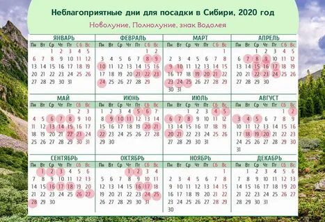 Неблагоприятные дни для посадки рассады в мае