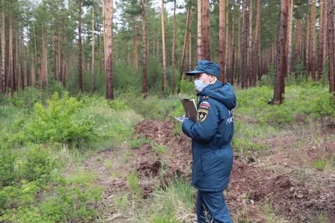 Очистка территории от горючих материалов