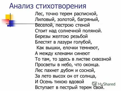 Стих животные леса