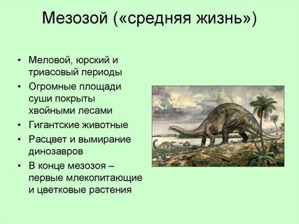 Средняя эра