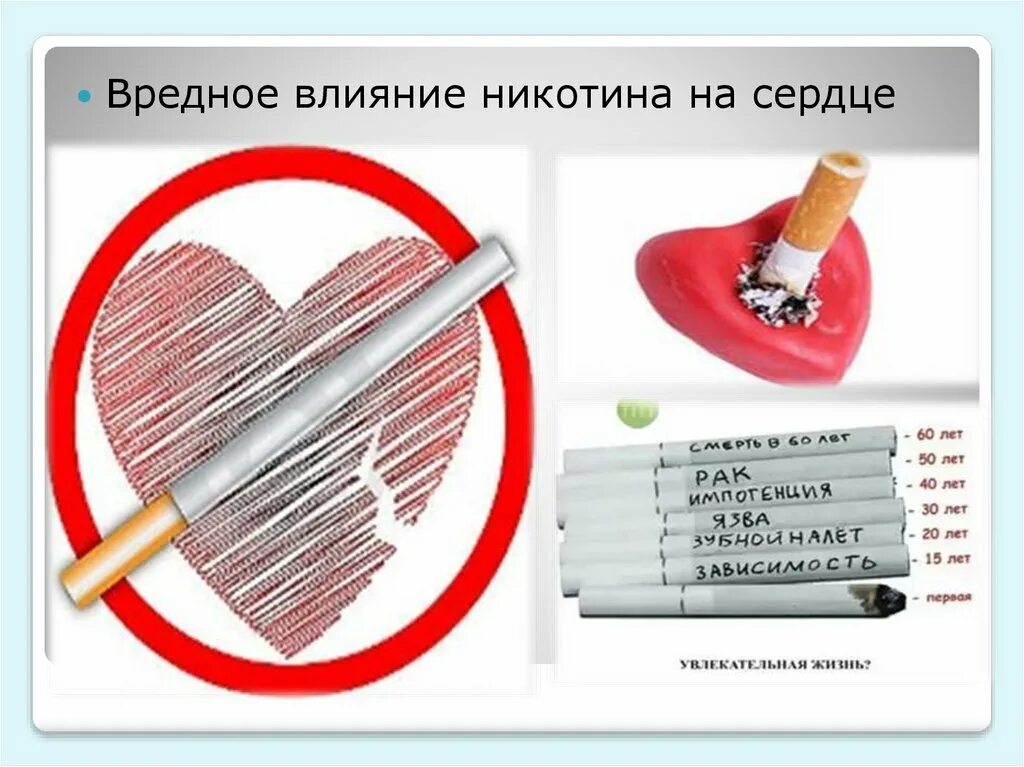 В сердце раны в легких никотин. Влияние курения на сердце. Влияние никотина на сердце. Влияние табака на сердечно сосудистую систему.