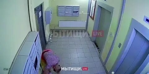 Видео в подъезде