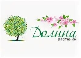 Долина интернет