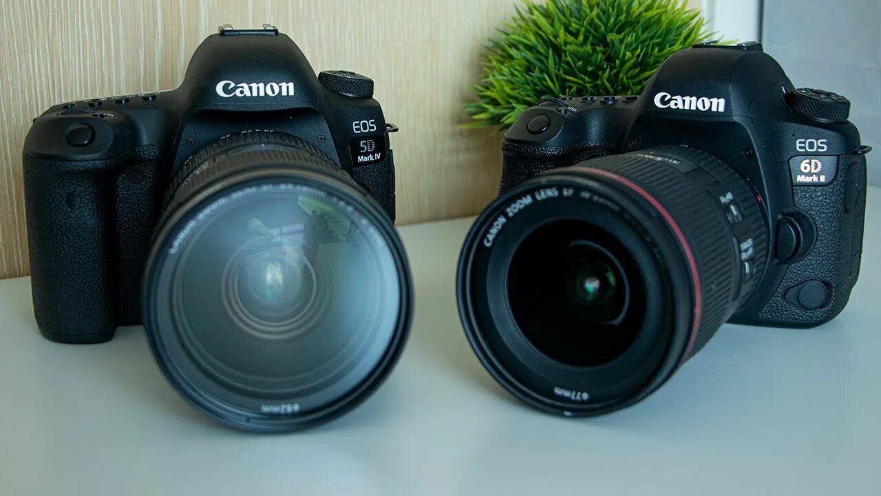 5d vs mark. Canon 6d Mark IV. Canon 4 d Mark II. Canon 6d Mark 4. Canon r6 Mark 2.