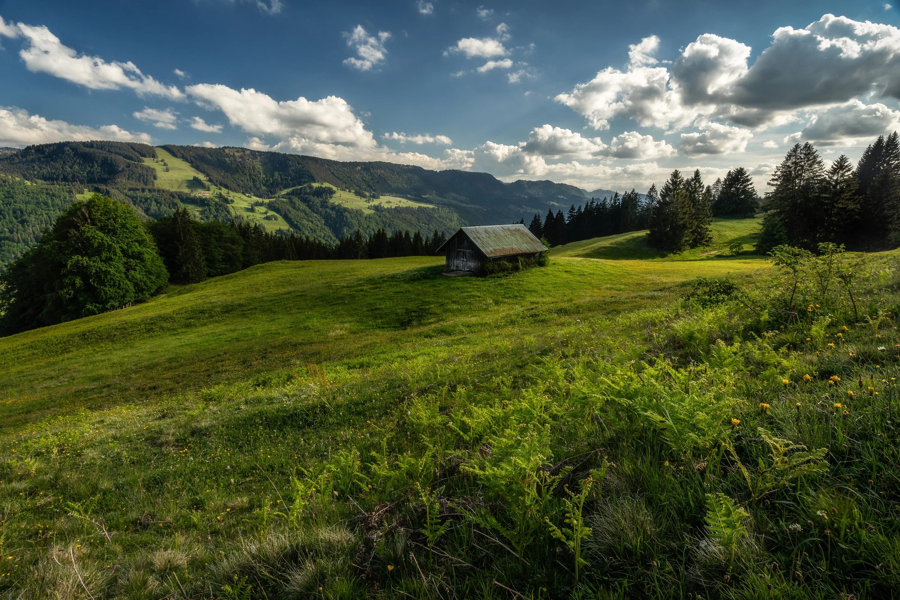 Луг холм. Холмы Германии. Луга Германии. Луга холмы. Бавария Луга.