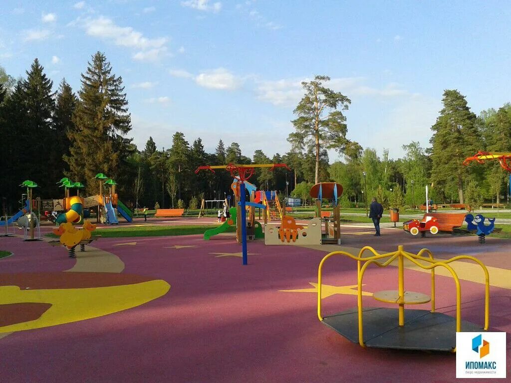 Парк сосны москва. Парк сосны деревня яковлевское. Воронцовский парк сосна пиния. Парк сосенки во владимире. Парк сосны яковлевское.