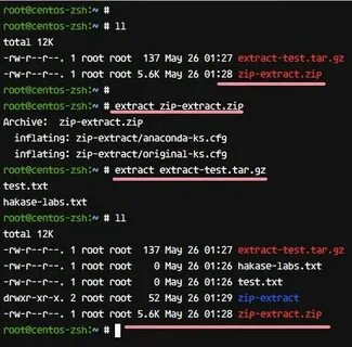 Zsh command
