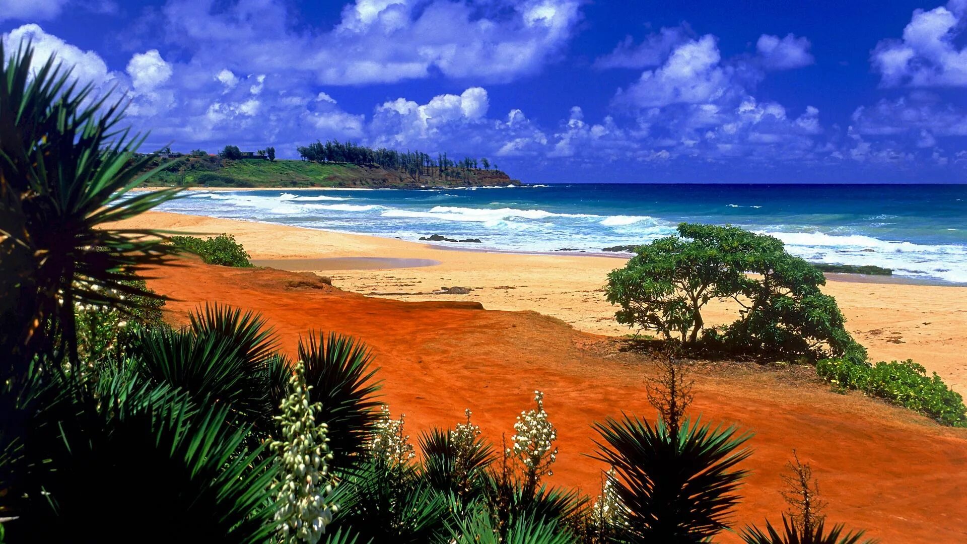 Остров Кауаи, Гавайские острова. Пляж Сансет Бич Гавайи. Гавайи климат. Гавайи Мальдивы Карибы.