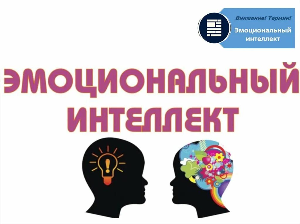 эмоциональный интеллект книга дэниела гоулмана. эмоциональный интеллект российская практика книга. эмоциональный интеллект книга алешина. книга эмоциональный интеллект шабанов алешина. эмоциональный интеллект дэниел гоулман.