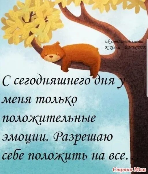 Я разрешаю сегодня все забыть