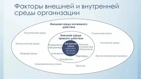 Характеристика определения организация
