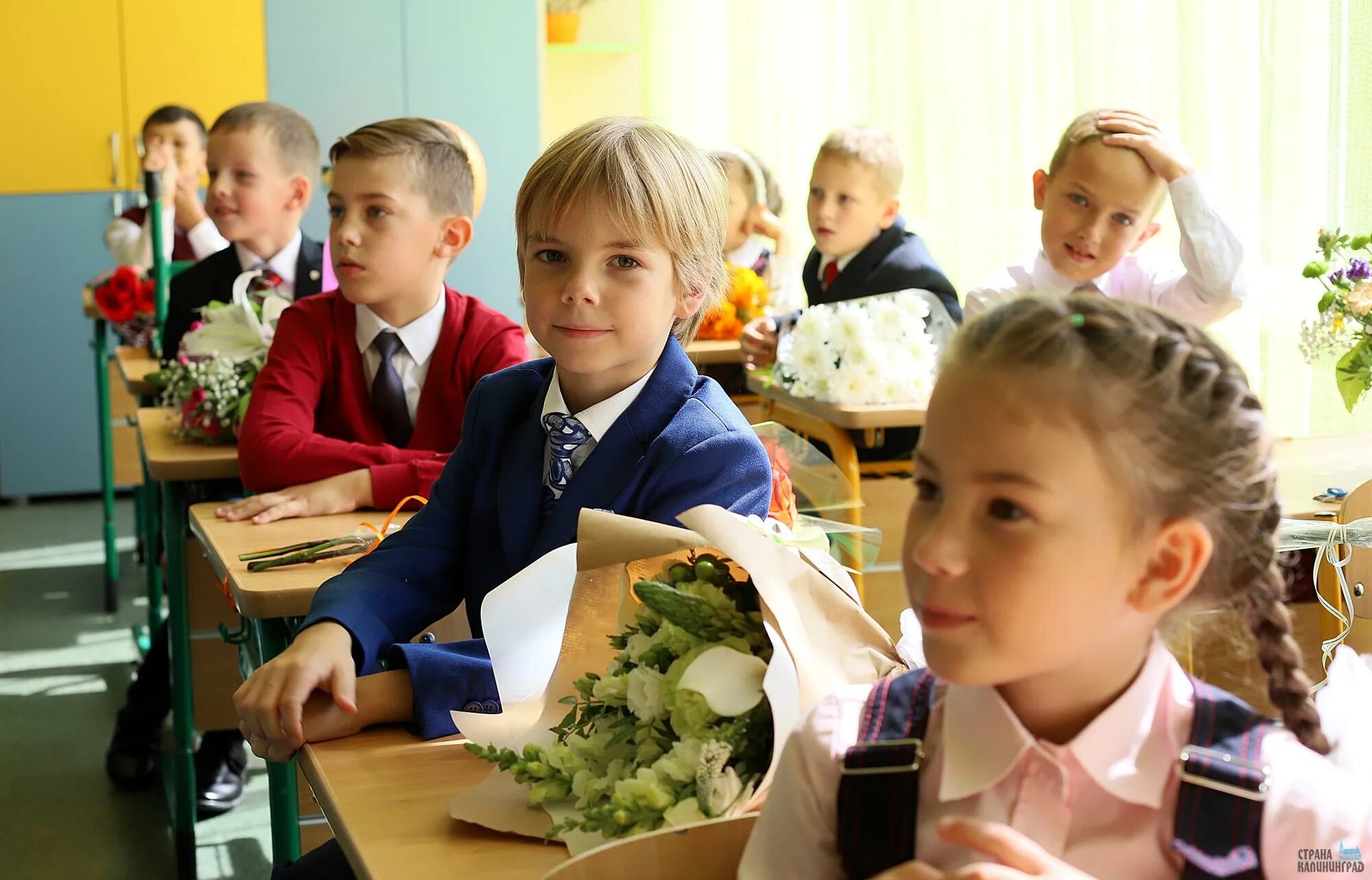 Школа первый класс. Школьники 1 класс. Фотосессия 1 класс. Класс с детьми в школе.