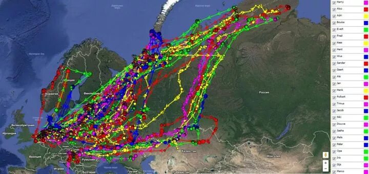 Карта пролета. Пути миграции гусей на карте России. Карта миграции гусей 2022 в России. Карта миграции гусей 2021. Путь миграции белолобого гуся в России.