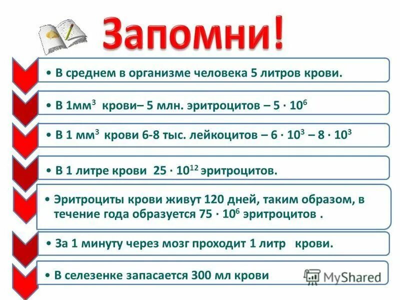 Сколько литров крови в организме взрослого. 1 Литр крови. Сколько литров крови в человеке.