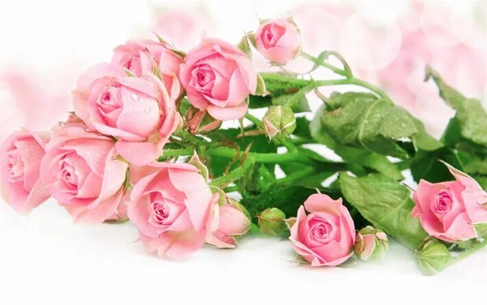Download Happy Birthday Flowers Cup Wallpaper Wallpapers.com