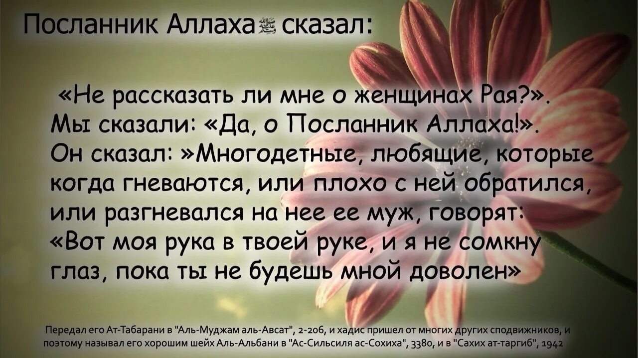 Жена отказывает мужу исламе. Послушание мужа в Исламе. Хадис про непослушание жены. Хадисы о женщинах. Хадисы о подчинении жены мужу.