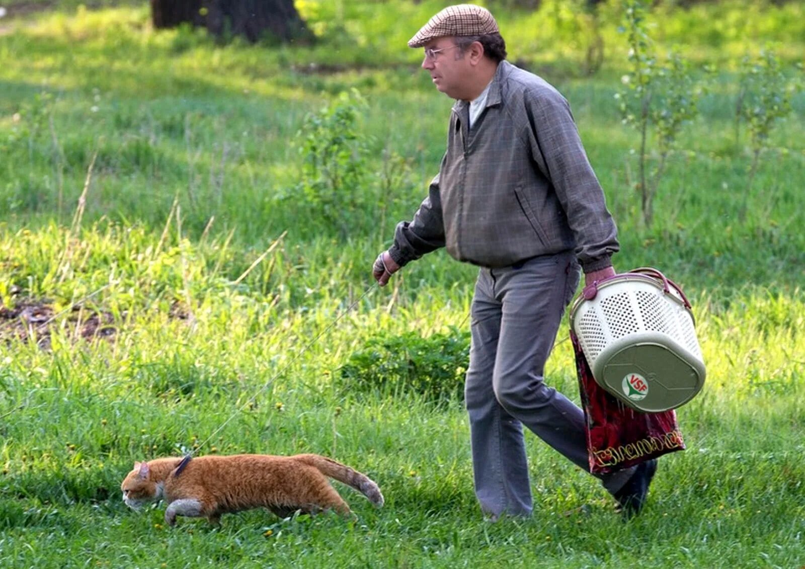 приколы про грибников. прикольный грибник. грибник карикатура. грибник карикатура. приколы про грибников.