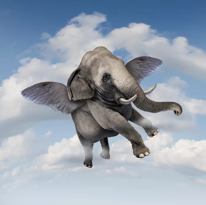 An elephant can t fly. Летающий слон. Летающие слоны. Слоны с крылышками. Слон с крыльями.