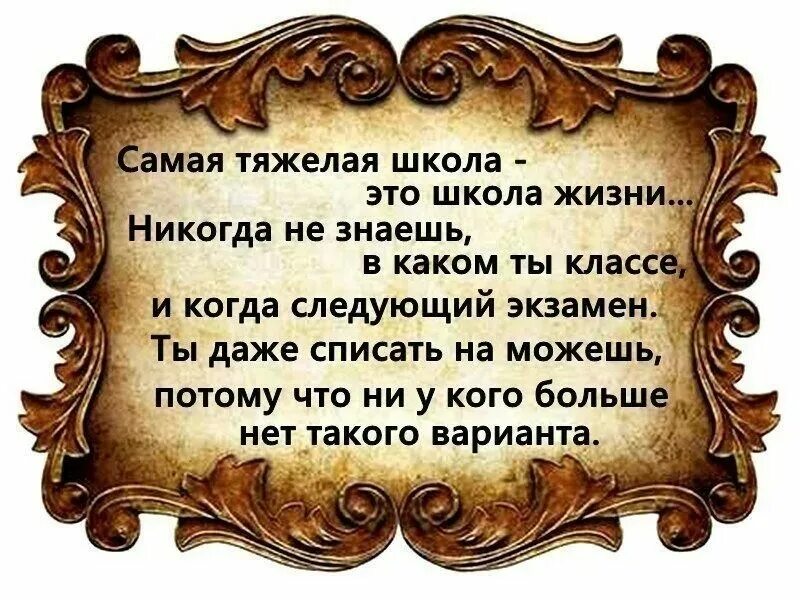 Смыслом про школам. Мудрые высказывания. Афоризмы про жизнь. Цитаты про жизнь. Мудрые фразы.