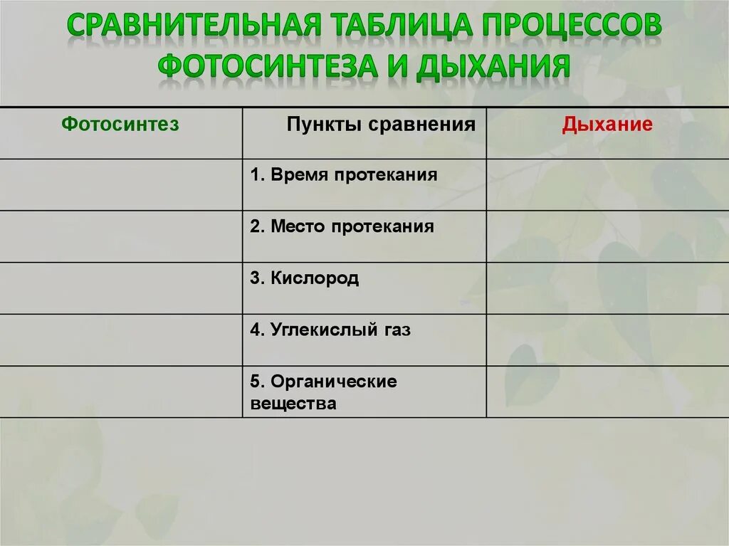 Таблица сравнение дыхания. Таблица сравнение процессов фотосинтеза и дыхания таблица 6 класс. Сопоставление процессов фотосинтеза и дыхания таблица. Таблица сравнение процессов фотосинтеза и дыхания. Сравнительная таблица процессов фотосинтеза и дыхания.