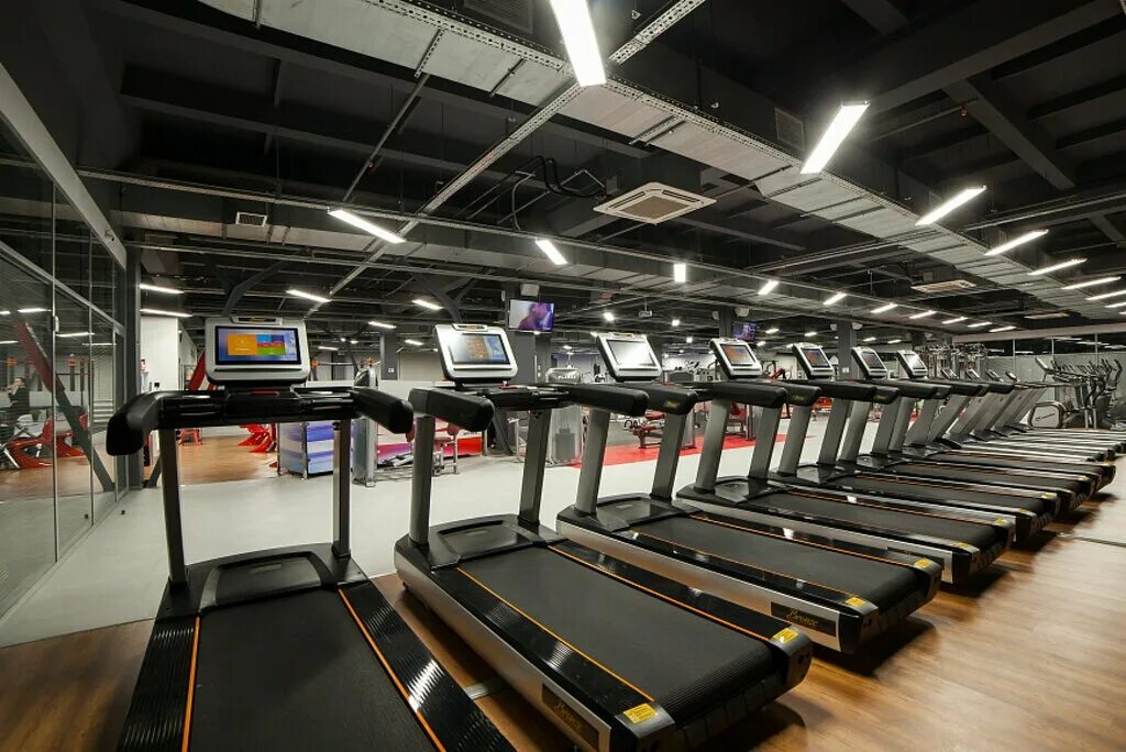 Арена тюмень тренажерный зал. Drive fitness родонитовая. Драйв фитнес екатеринбург парк хаус. Драйв фитнес телефон. Драйв фитнес телефон.